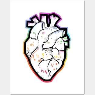 Rainbow anatomical heart Posters and Art